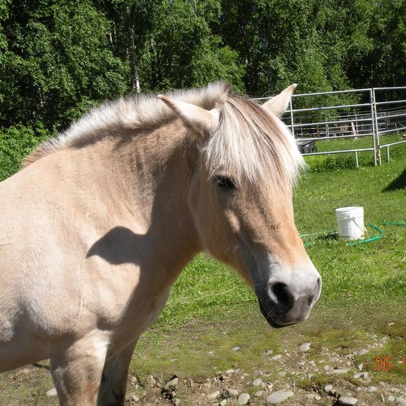 Meet your Posher, Judy - Picture 1 of 1